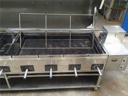 邢台全羊炉生产厂家报价及山东博兴雅康食品设备厂过滤器材设备概览